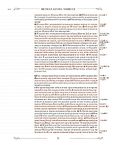 Die Bibel in der russischen synodalen Übersetzung mit Notizfeldern (braun)