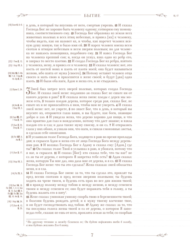 Die Bibel in der russischen synodalen Übersetzung mit Notizfeldern (braun)