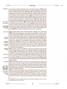 Die Bibel in der russischen synodalen Übersetzung mit Notizfeldern (braun)