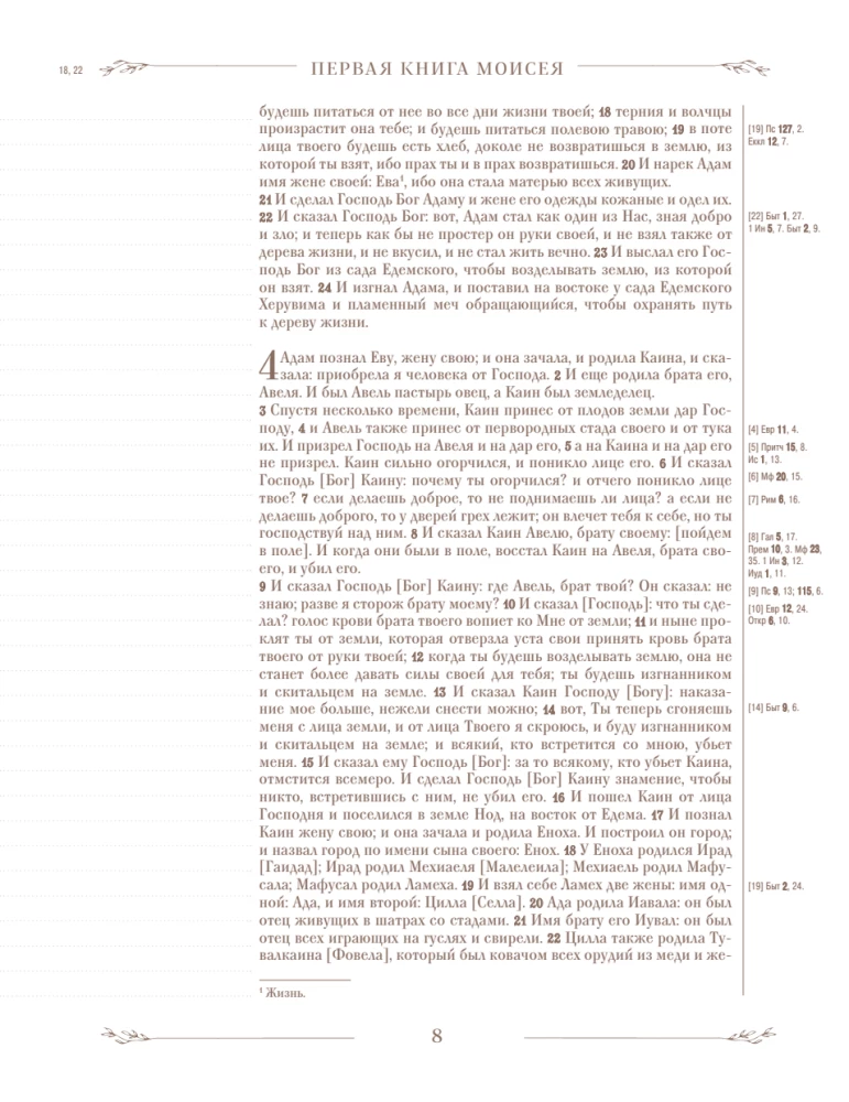 Die Bibel in der russischen synodalen Übersetzung mit Notizfeldern (braun)
