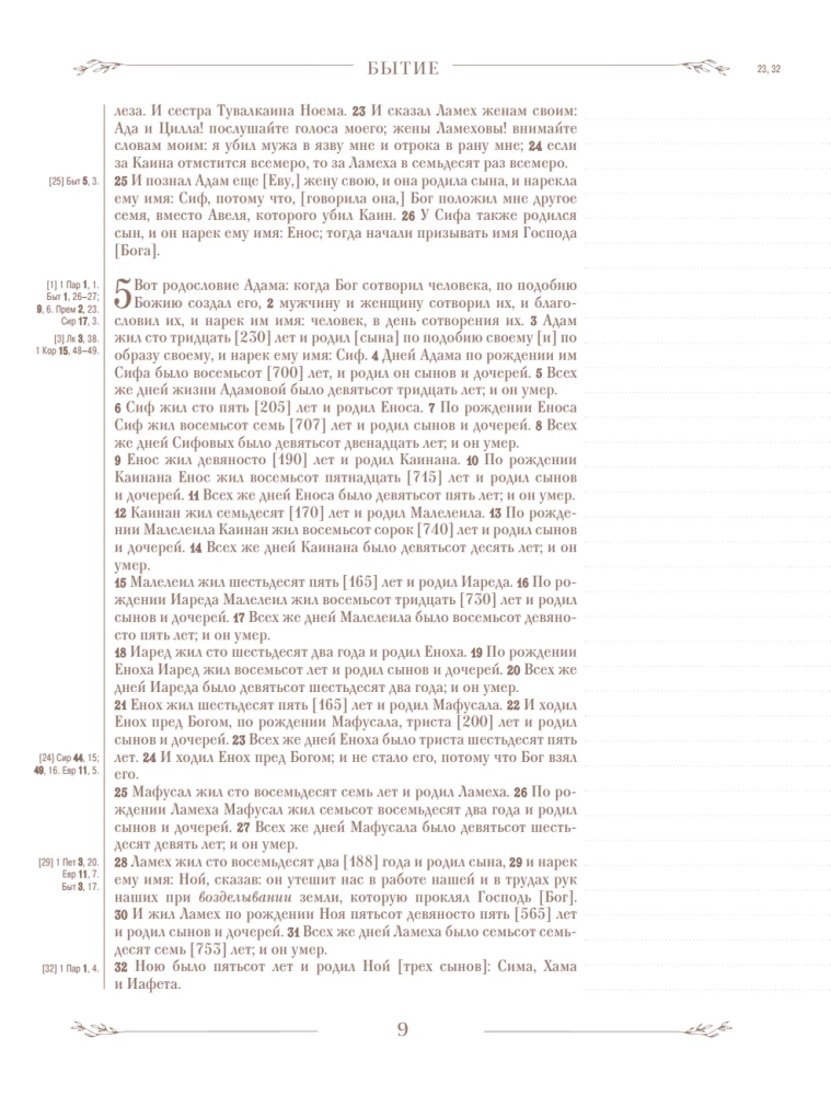Die Bibel in der russischen synodalen Übersetzung mit Notizfeldern (braun)