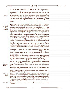 Die Bibel in der russischen synodalen Übersetzung mit Notizfeldern (braun)