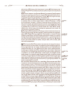 Die Bibel in der russischen synodalen Übersetzung mit Notizfeldern (braun)