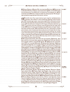 Die Bibel in der russischen synodalen Übersetzung mit Notizfeldern (braun)