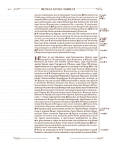 Die Bibel in der russischen synodalen Übersetzung mit Notizfeldern (braun)
