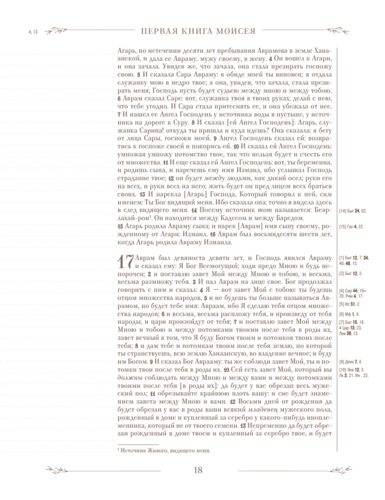 Die Bibel in der russischen synodalen Übersetzung mit Notizfeldern (braun)
