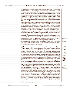 Die Bibel in der russischen synodalen Übersetzung mit Notizfeldern (braun)