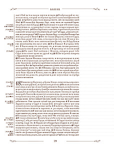 Die Bibel in der russischen synodalen Übersetzung mit Notizfeldern (braun)