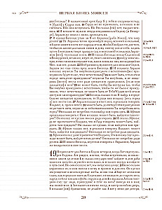 Die Bibel in der russischen synodalen Übersetzung mit Notizfeldern (braun)