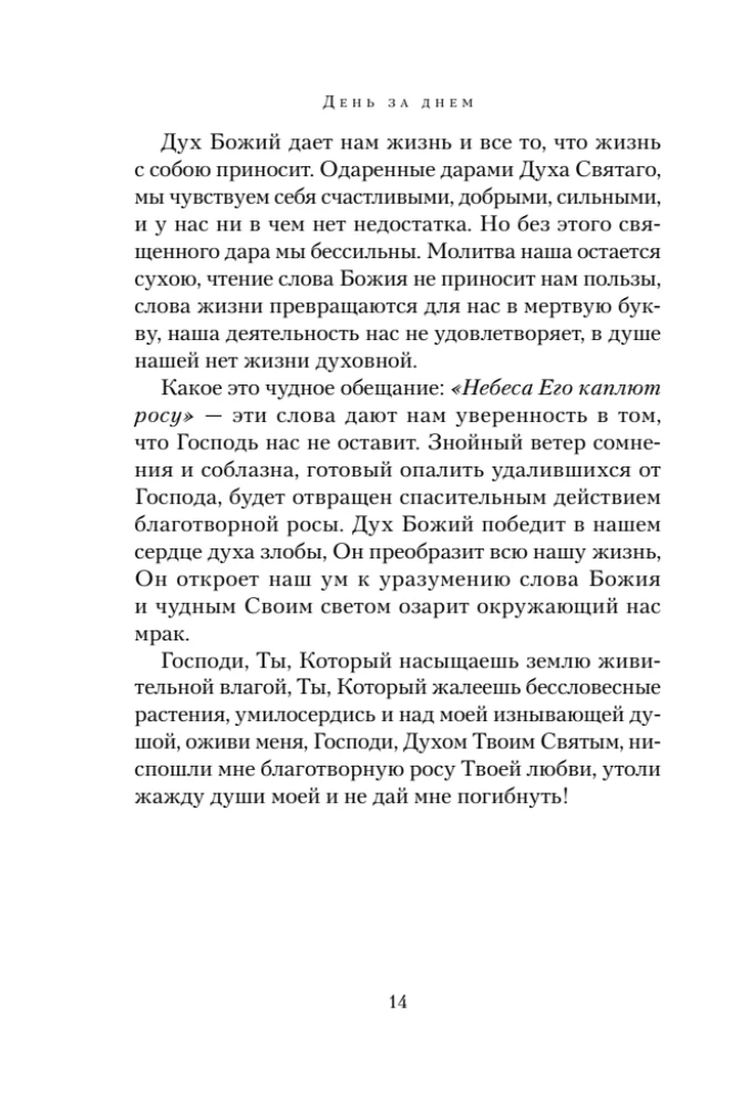 Diena po dienos. Mylima A.F. Romanovos knyga