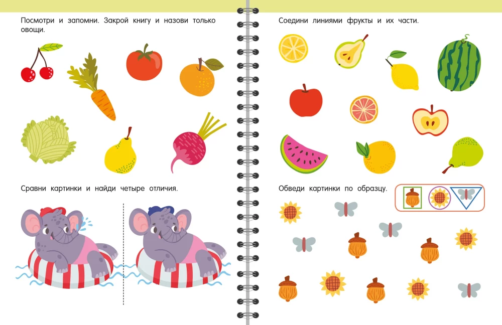 Trainer. Engaging Tasks for Brain Development for Children Aged 3-5 Years