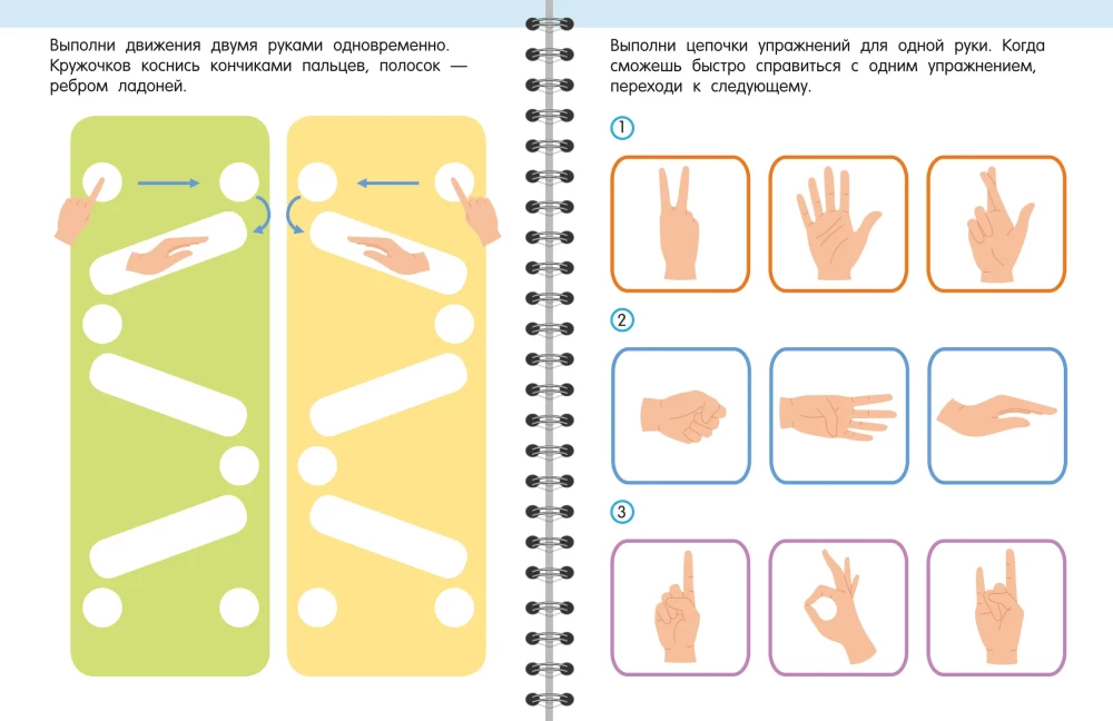 Trainer. Engaging Tasks for Brain Development for Children Aged 3-5 Years