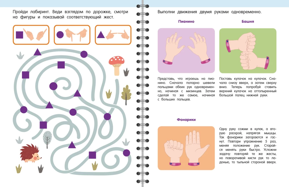Trainer. Engaging Tasks for Brain Development for Children Aged 3-5 Years