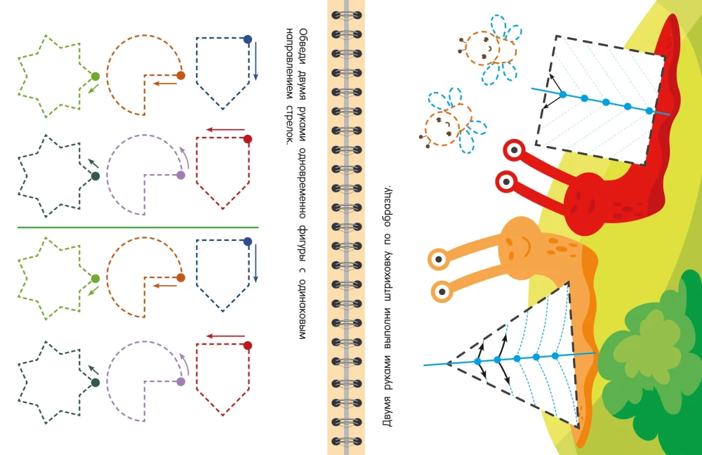 Trainer. Engaging Tasks for Brain Development for Children Aged 3-5 Years