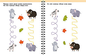 Interhemispheric Interaction. Drawing with the Left and Right Hands Simultaneously. 3-5 Years