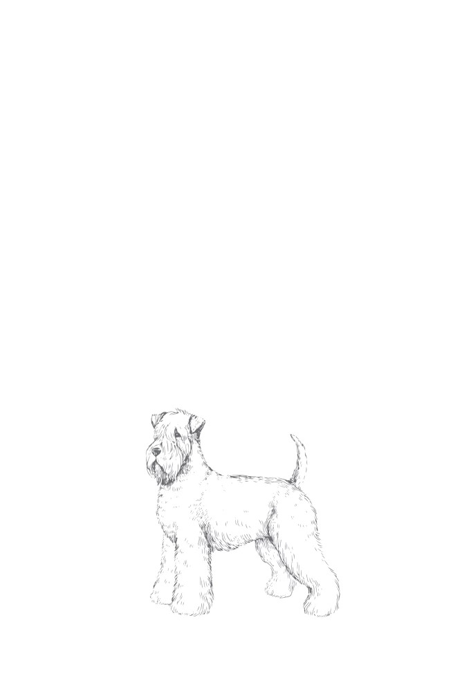 Mattie, Milo and Me. A Story of Love, Loss, and How Dogs Help Us Live