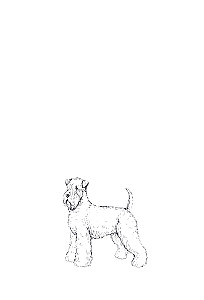 Mattie, Milo and Me. A Story of Love, Loss, and How Dogs Help Us Live