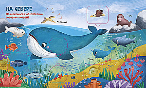 Oceans and Seas