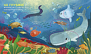 Oceans and Seas