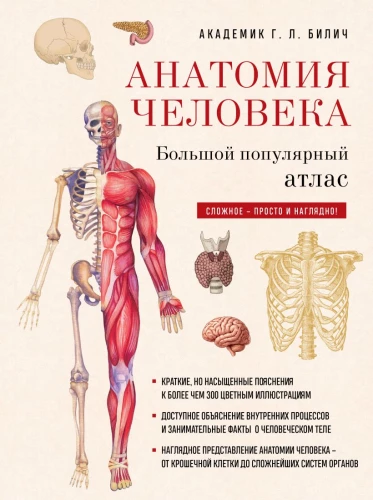 Anatomy of Man: Great Popular Atlas
