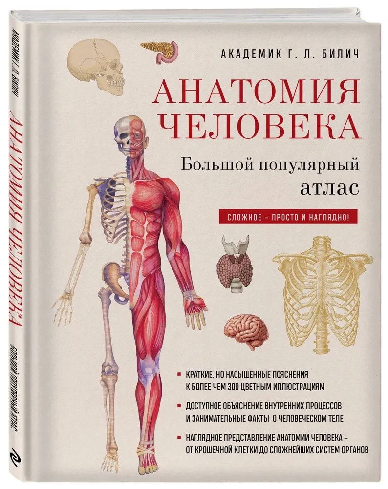 Anatomy of Man: Great Popular Atlas