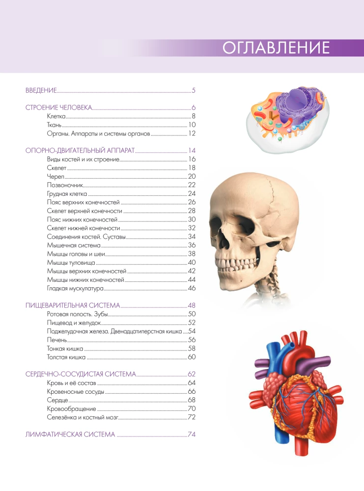 Anatomy of Man: Great Popular Atlas