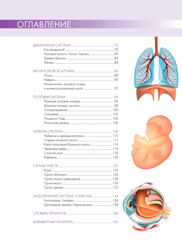 Anatomy of Man: Great Popular Atlas