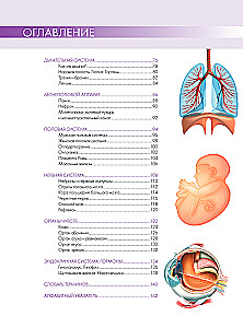 Anatomy of Man: Great Popular Atlas