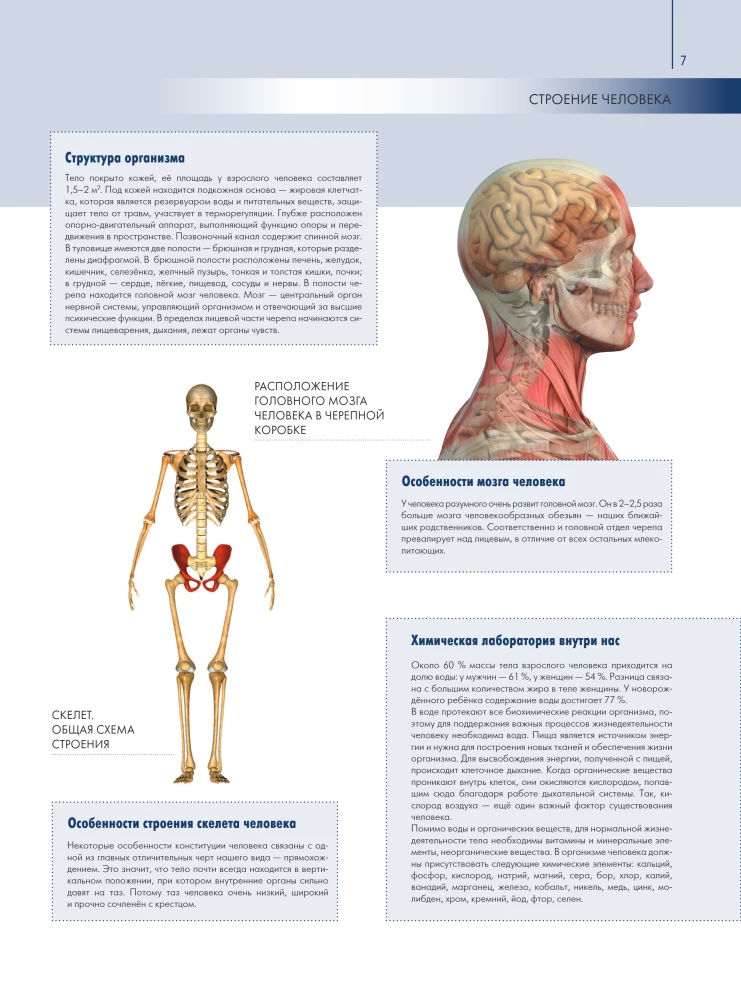 Anatomy of Man: Great Popular Atlas