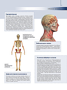 Anatomy of Man: Great Popular Atlas