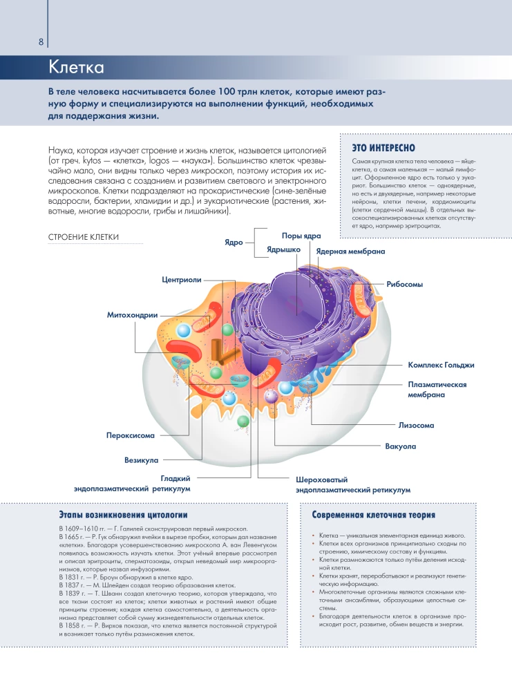 Anatomy of Man: Great Popular Atlas