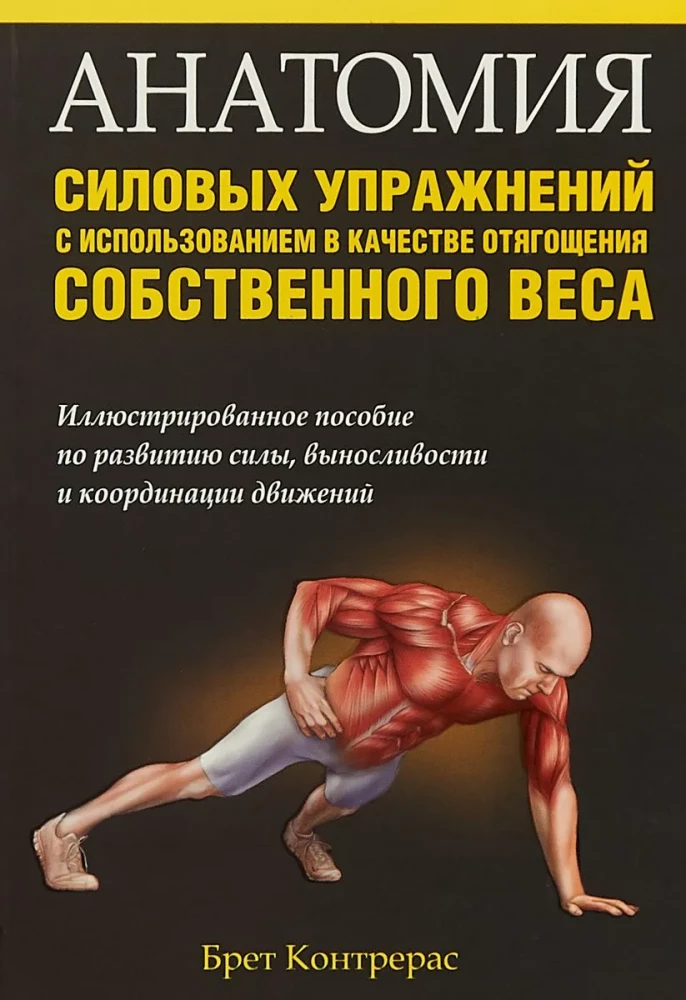 Anatomy of Strength Exercises Using Body Weight as Resistance