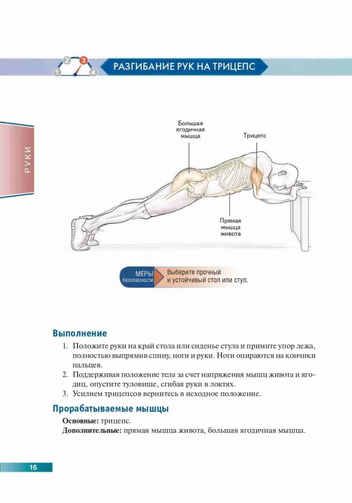 Anatomy of Strength Exercises Using Body Weight as Resistance