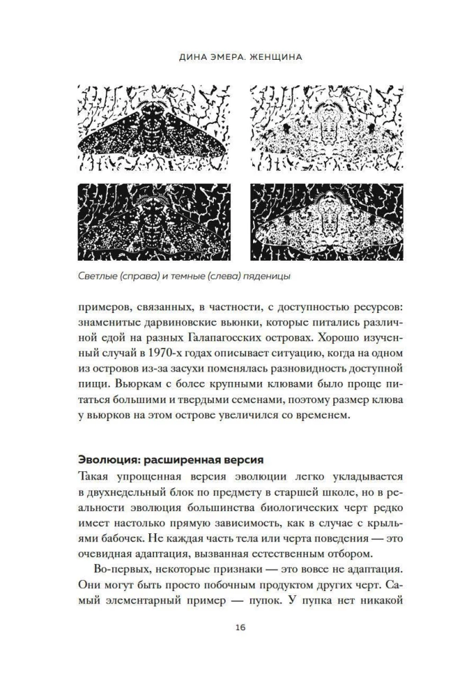 Woman. An Evolutionary Perspective on How and Why the Female Form Appeared