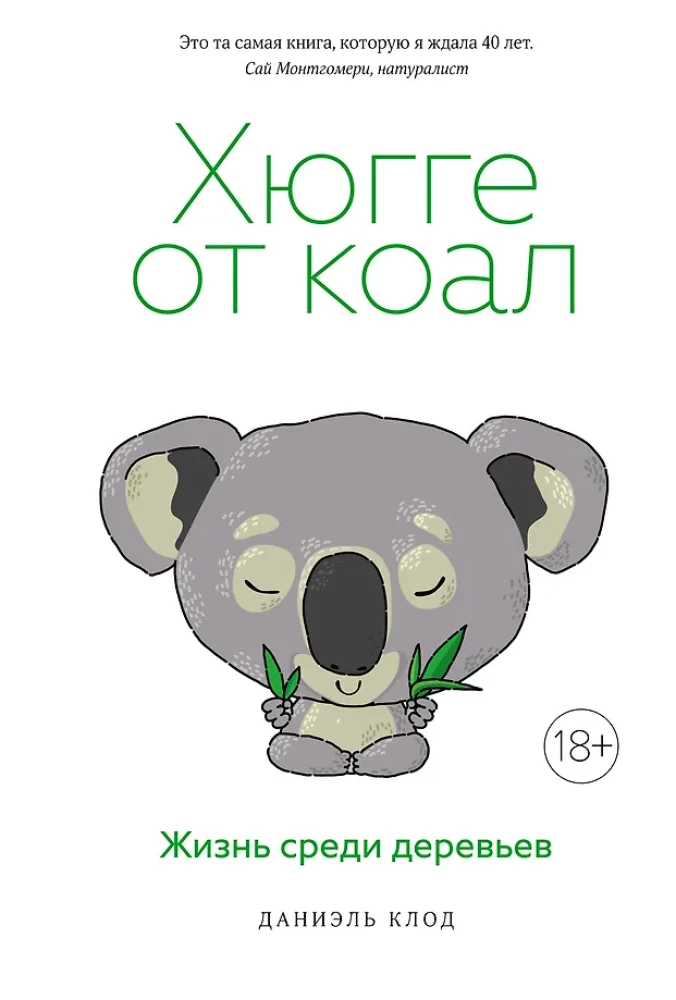 Hygge von Koalas. Leben unter den Bäumen