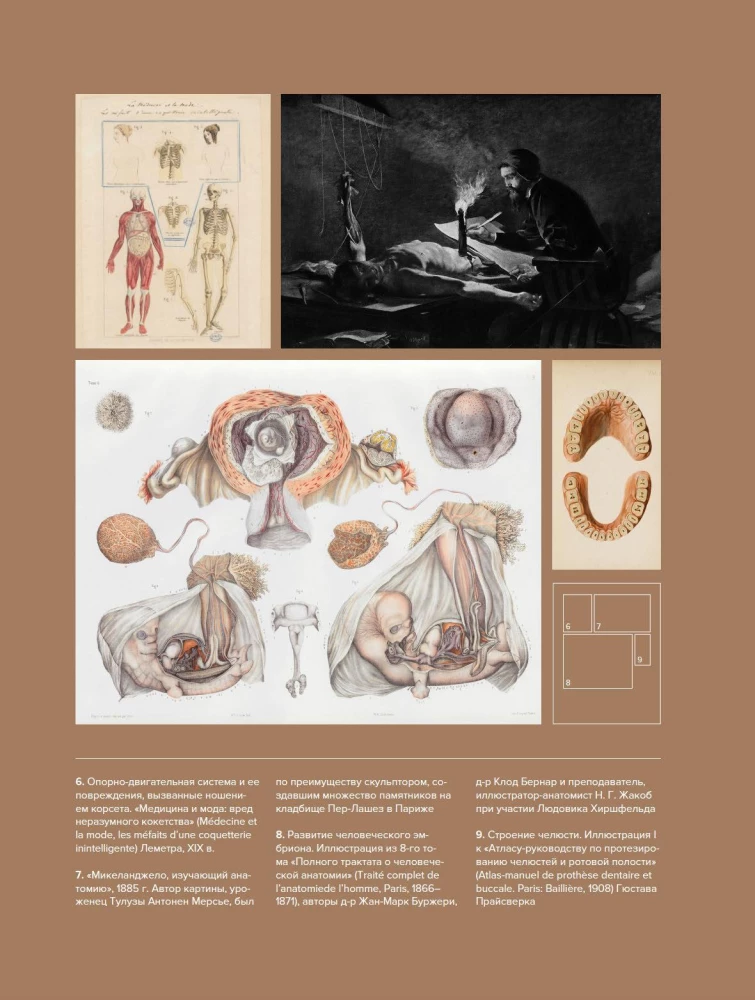 Gabinet rzadkości - anatomicznych, medycznych i przerażających