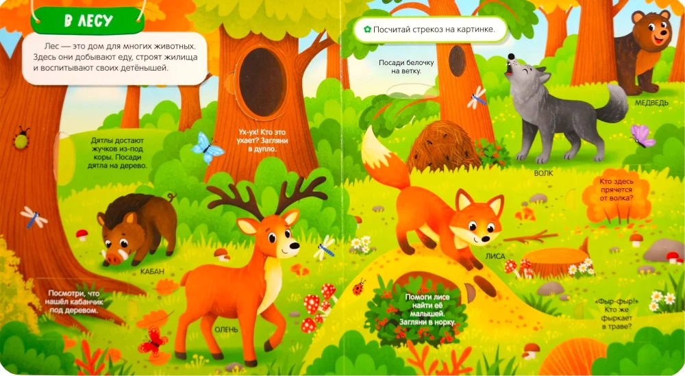 Animals. Pockets and Windows