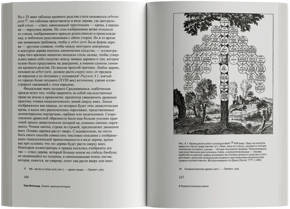 Linie: krótka historia
