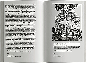 Linie: krótka historia