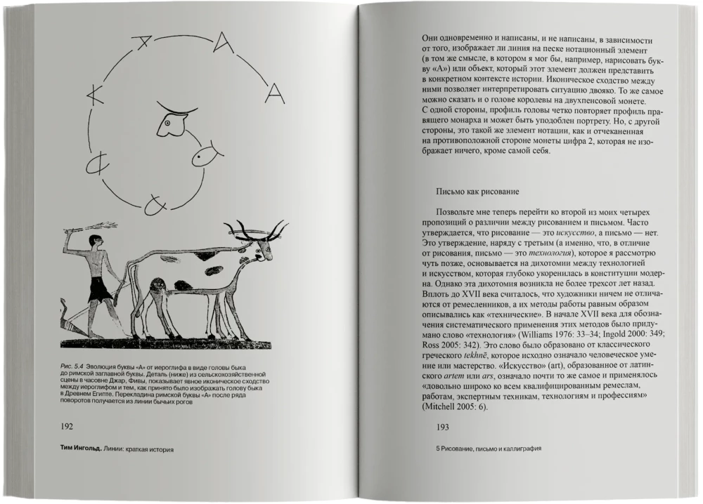 Linie: krótka historia