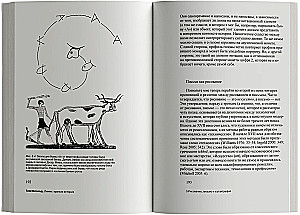Linie: krótka historia