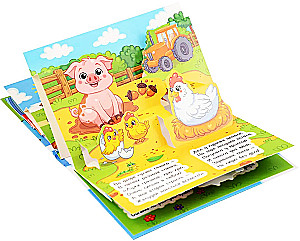 Pets. Panorama Book. 3D Pictures