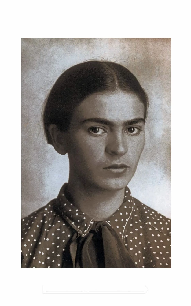 Biography of Art. Viva la Frida