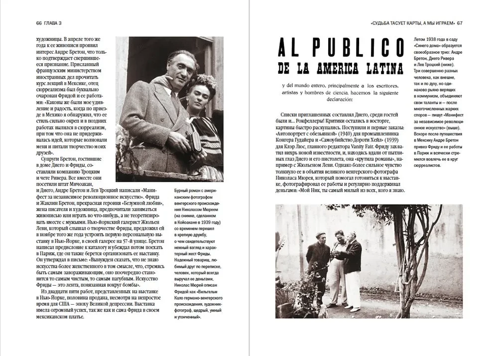 Biography of Art. Viva la Frida
