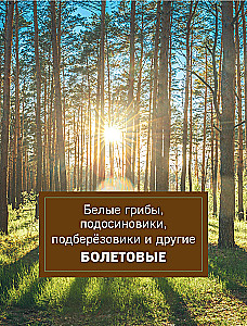 Грибы. Иллюстрированный гид по популярным видам