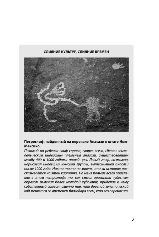 Inteligentny gen. Jakie jedzenie jest potrzebne naszej DNA