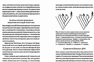 Žmogaus evoliucija