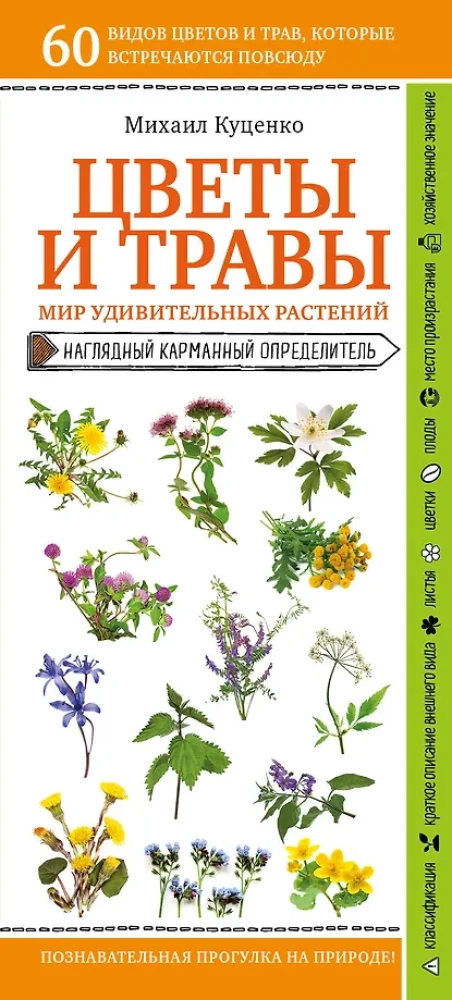 Blumen und Kräuter. Die Welt der erstaunlichen Pflanzen