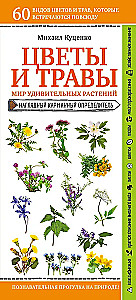 Blumen und Kräuter. Die Welt der erstaunlichen Pflanzen
