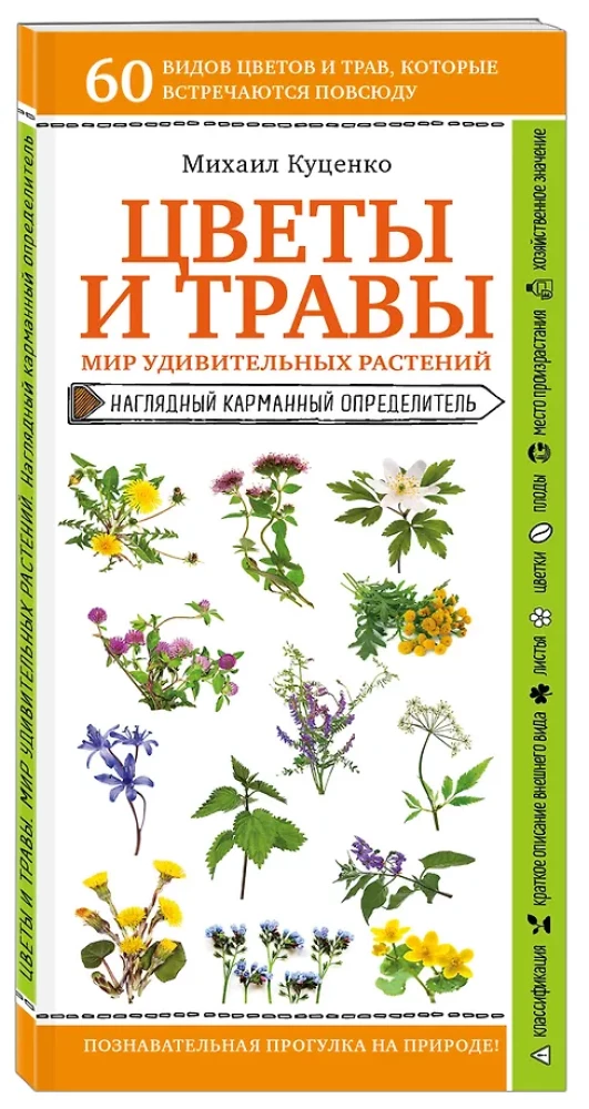 Blumen und Kräuter. Die Welt der erstaunlichen Pflanzen